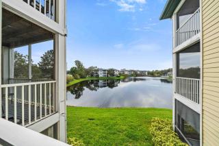 The Urban Oasis - Serene Views - Tampa - 6