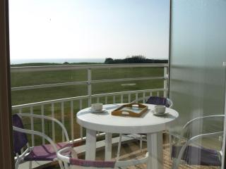 Appartement T2+ cabine avec piscine et parking à Saint-Jean-de-Monts - FR-1-323-315 - 2