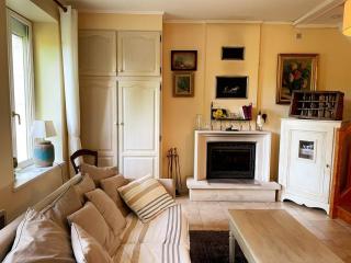 Maison 8 min du Zoo de Beauval, jardin, cheminée, tout inclus, proche Châteaux de la Loire - FR-1-491-429 - Châteauvieux - 2