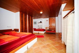 Casa Papaya 2, La Palma - Breña Alta - 9
