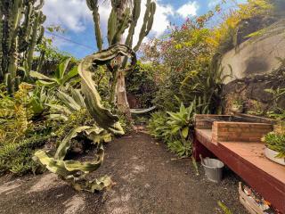 Casa Papaya 2, La Palma - Breña Alta - 3