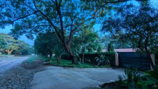 Moshi New Jacaranda - Moshi - 0