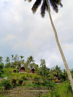 Tereng Kuning Room - Mantang - 2