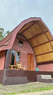 Tereng Kuning Room - Mantang - 4