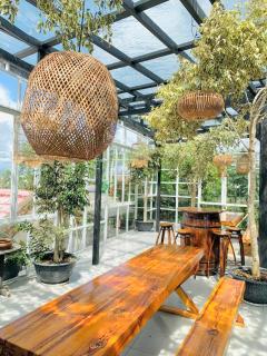 Homestay Guitar House - 6