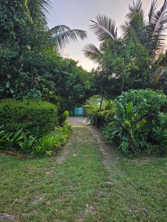 Number 18 - Galle - 1