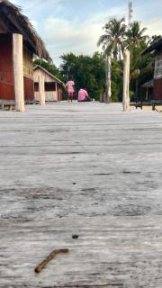 Adefiro homestay - Waisai - 4