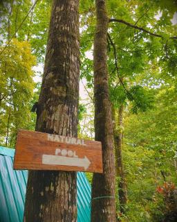 Josiah Tree House Camp Mahogany Llavac Quezon - Real - 9