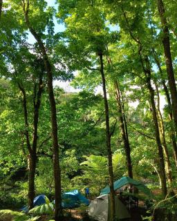 Josiah Tree House Camp Mahogany Llavac Quezon - Real - 8