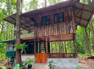 Josiah Tree House Camp Mahogany Llavac Quezon - Real - 2