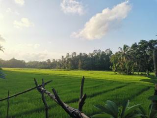 Nature Villa - Kalahe - 6