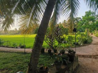 Nature Villa - Kalahe - 8