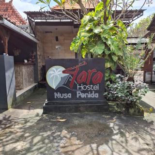 Tara hostel - Nusa Penida - 6