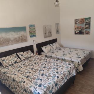 Ecohacienda Perla Marina - Carpintero - 3