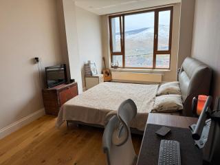 Spacious 2 BR apt near National Park - Ulaanbaatar - 5