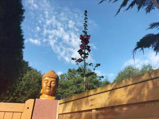 Gite La Vie Est Belle, Chalet dans un petit coin de paradis - 9