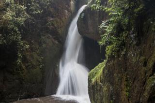 Hotel de Montaña Suria - San Gerardo de Dota - 4