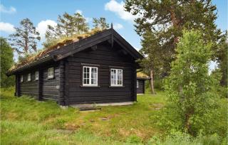 Gorgeous Home In Rauland With Sauna - 1