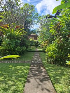 Rice paddy bungalow - 2