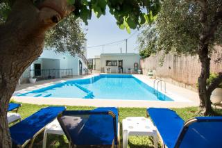 Olive Tree - Kissamos - 3