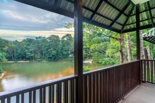 Rompin Rainforest Lodge - Kuala Rompin - 4