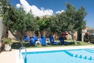 Olive Tree - Kissamos - 5