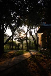 Sigiri Asna Nature Resort - 4