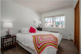 Timeless 3br Mid-century Modern St Johns Gem - St. John's - 1