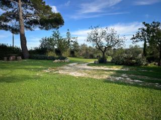 Trulli Capomazza - Noci - 5
