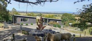 Little Forest Cabins No 3 - Feilding - 3