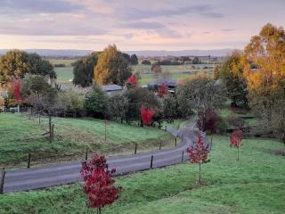 Little Forest Cabins No 3 - Feilding - 4