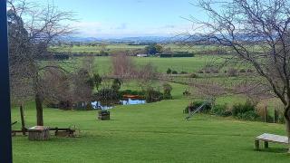 Little Forest Cabins No 3 - Feilding - 2