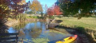 Little Forest Cabins No 3 - Feilding - 1