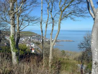 Cynefin Cottage - 4
