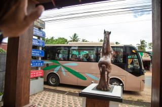 Hotel Silver Horse Dambulla - Dambulla - 2
