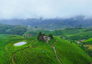 Arivikad Tea Bungalow Munnar by VOYE HOMES - Suryanelli - 3