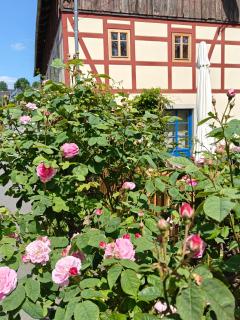 Urlaub im 200 Jahre alten Fachwerkhaus - Lichtenhain - 0