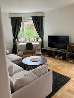 Top floor apartment with stunning views - Gothenburg - 0
