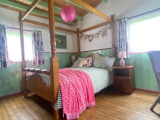 The Fabulous flower hut - Llanfynydd - 9
