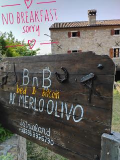 al Merlo Olivo, rural istrian house - Buje - 9
