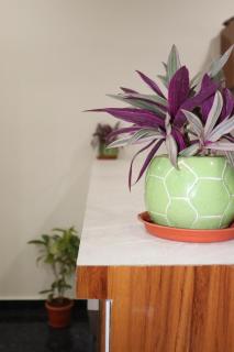 Hotel jetway near by kempegowda international airport - Bangalore - 9