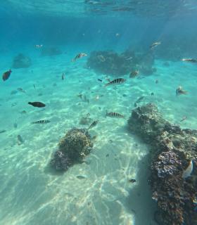 Mahana Tua Lodge Huahine - 2