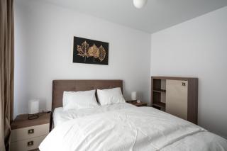 Central Spacious Apartment 224 - 1