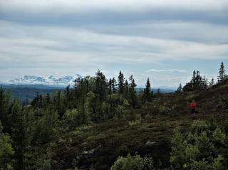 NEW Scenic Family Stay in Tegefjäll Hike & Relax - Åre - 1