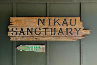 Nikau Sanctuary - Raglan - 8