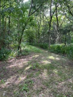 Camping Jozef vogelzang - Wingene - 8
