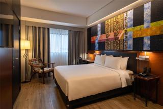 Hilton Garden Inn Asuncion Aviadores Del Chaco - Asunción - 5