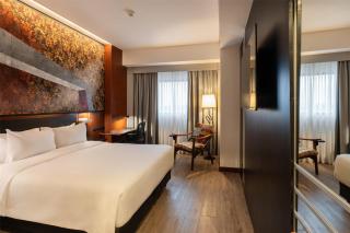 Hilton Garden Inn Asuncion Aviadores Del Chaco - Asunción - 1