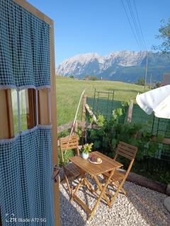 k&k Residenz - "Circus Touristicus" - 3