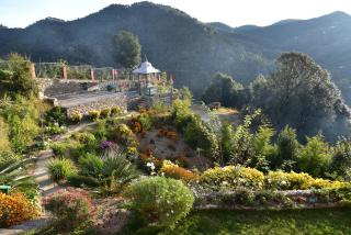 Parvada Bungalows - Mukteshwar - 7